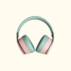 True Wireless Earbuds (TWS)